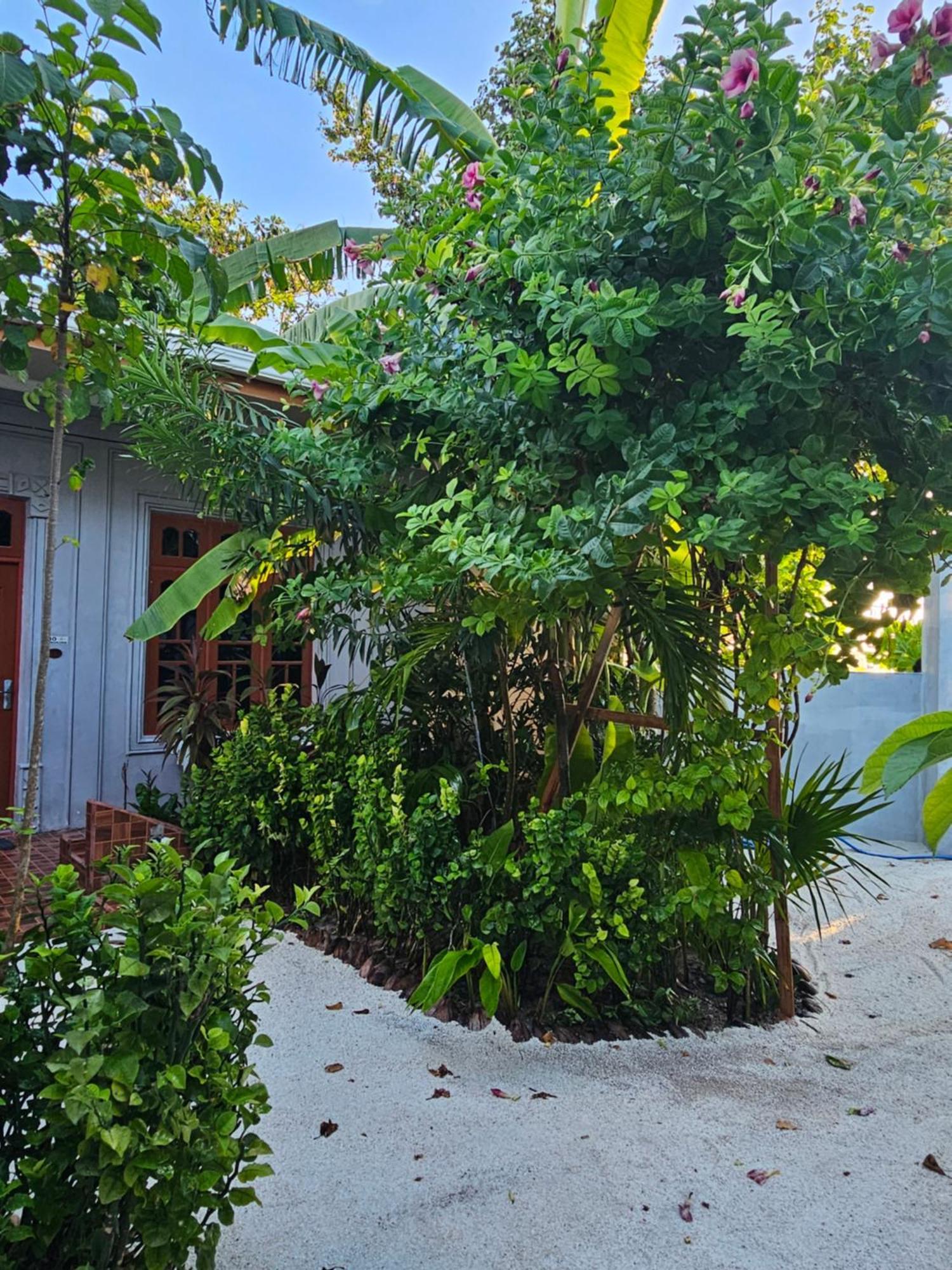 Sunset Beach View Dhangethi Exteriör bild