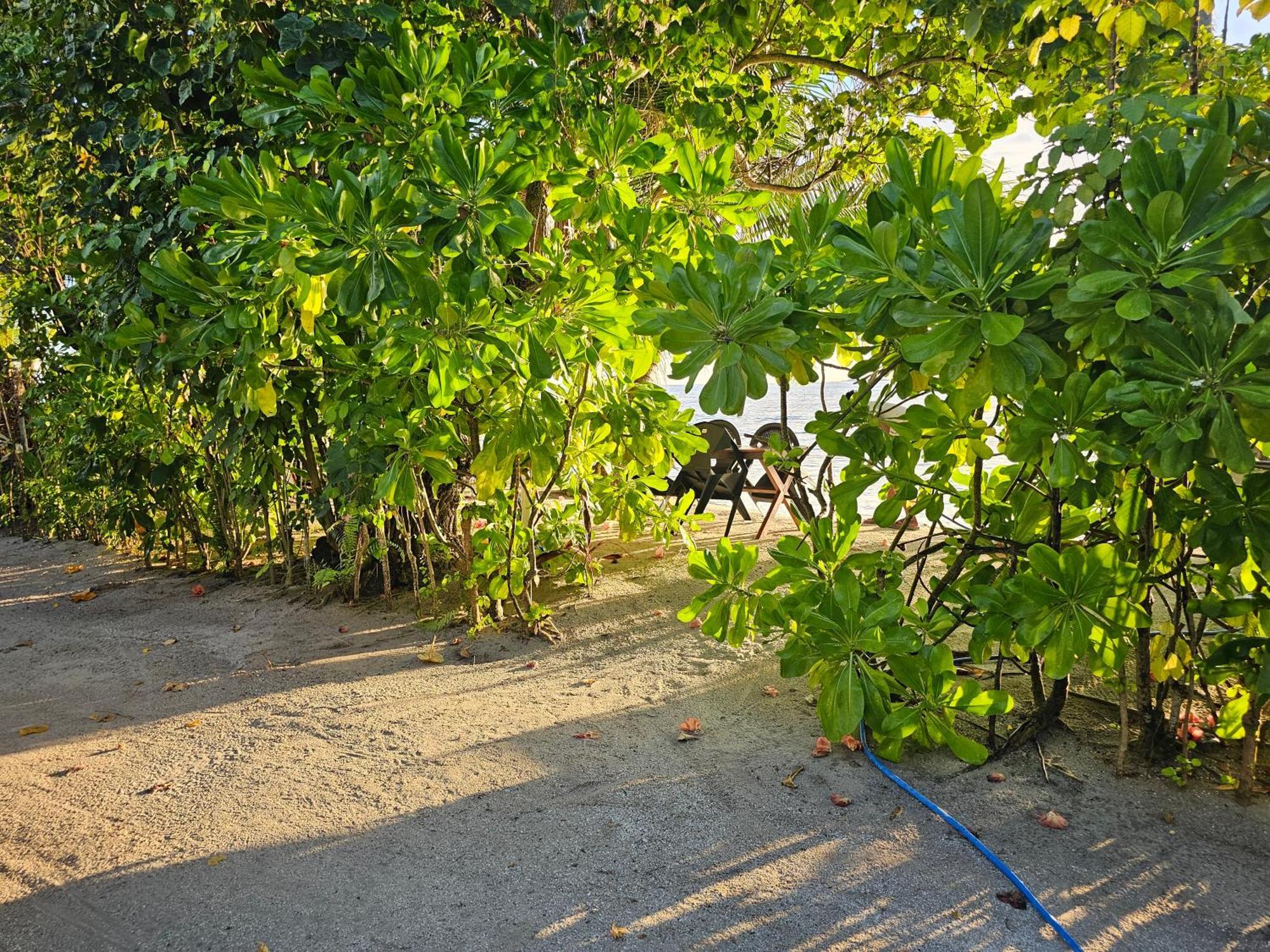 Sunset Beach View Dhangethi Exteriör bild